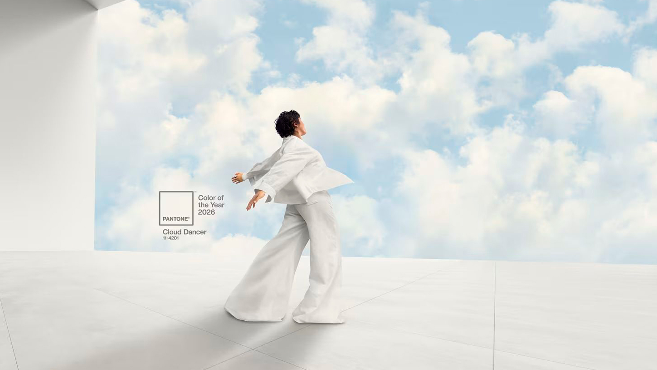 El color Pantone 2026 y su impacto real en el mobiliario: c�mo se traduce una tendencia global en hogares que se viven